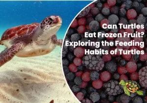 Can Turtles Eat Frozen Fruit?