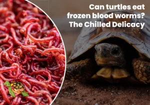 Can Turtles Eat Frozen Blood Worms?
