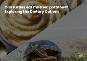 Can Turtles Eat Mashed Potatoes?