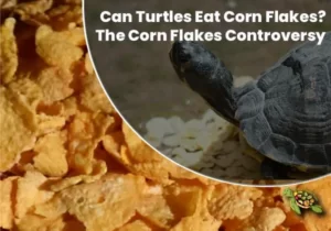 Can Turtles Eat Corn Flakes?